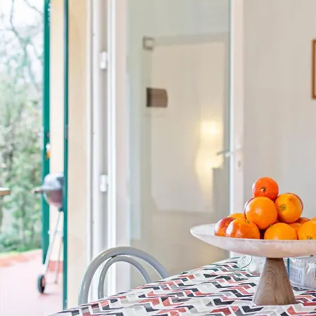 Pleasant Holiday In With Swimming Pool Holiday home *